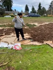 image of a woman with a rake spreading wood chips and mulch over cardboard to kill the grass and weeds over the upcoming winter