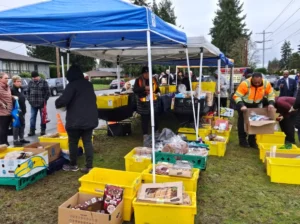 Image of volunteers supporting the Community Food Distribution